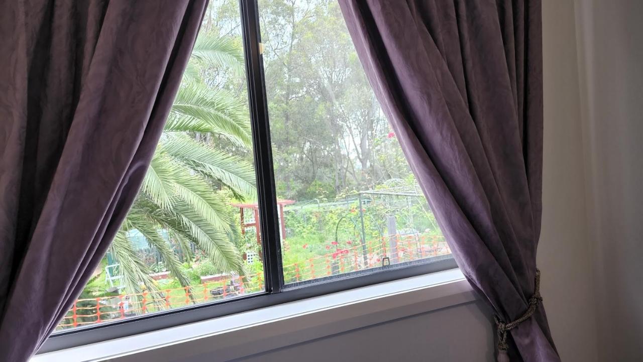 Gowrie Agapanthus Apartment Singleton Ngoại thất bức ảnh